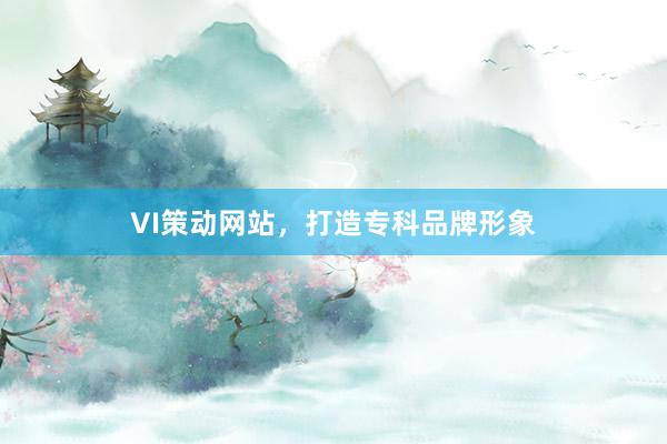 VI策动网站，打造专科品牌形象